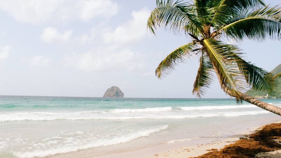 13891858_10157247397560302_7742223621907003216_n