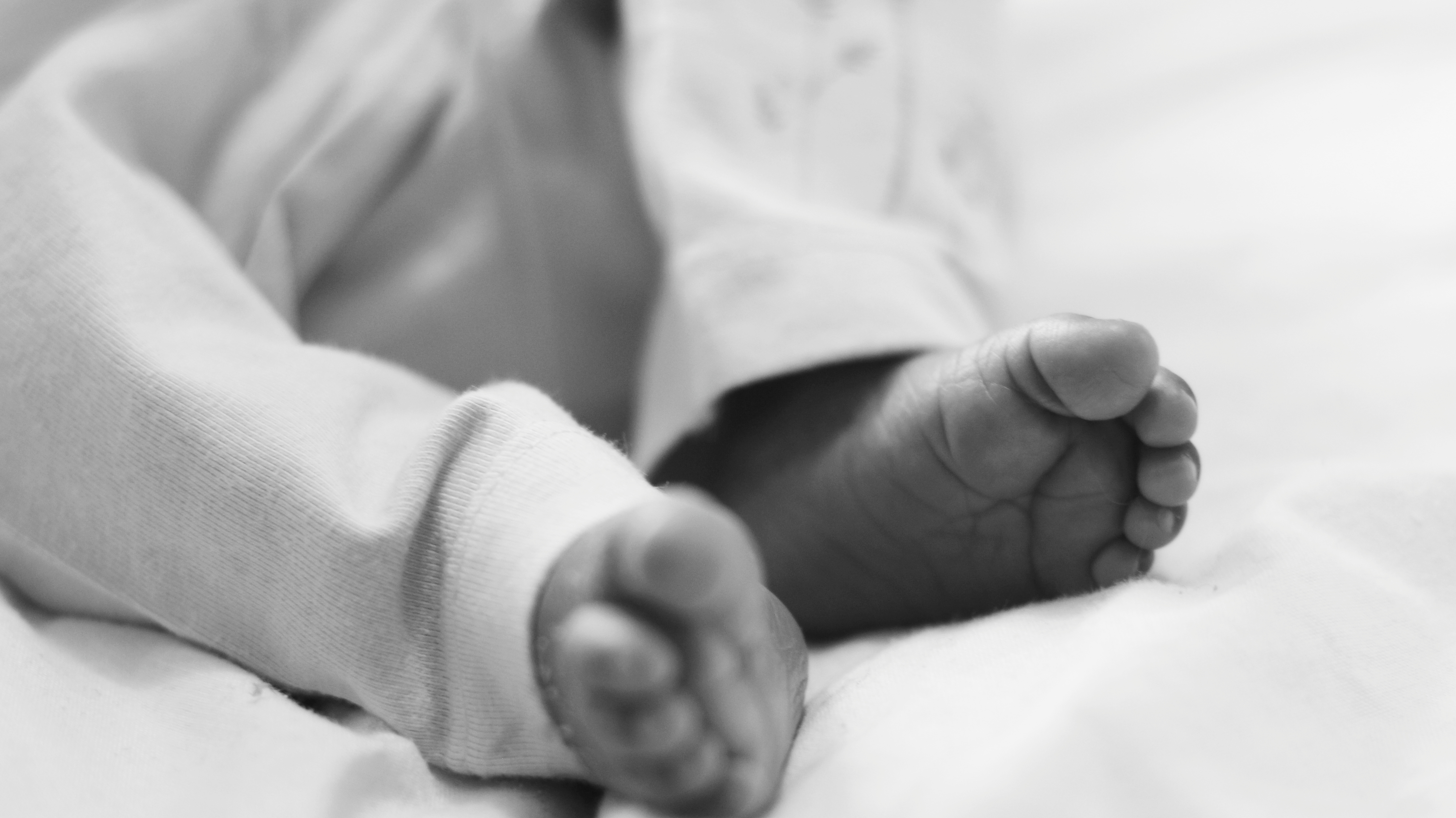 2017-12-19 02.51.15 1.jpg