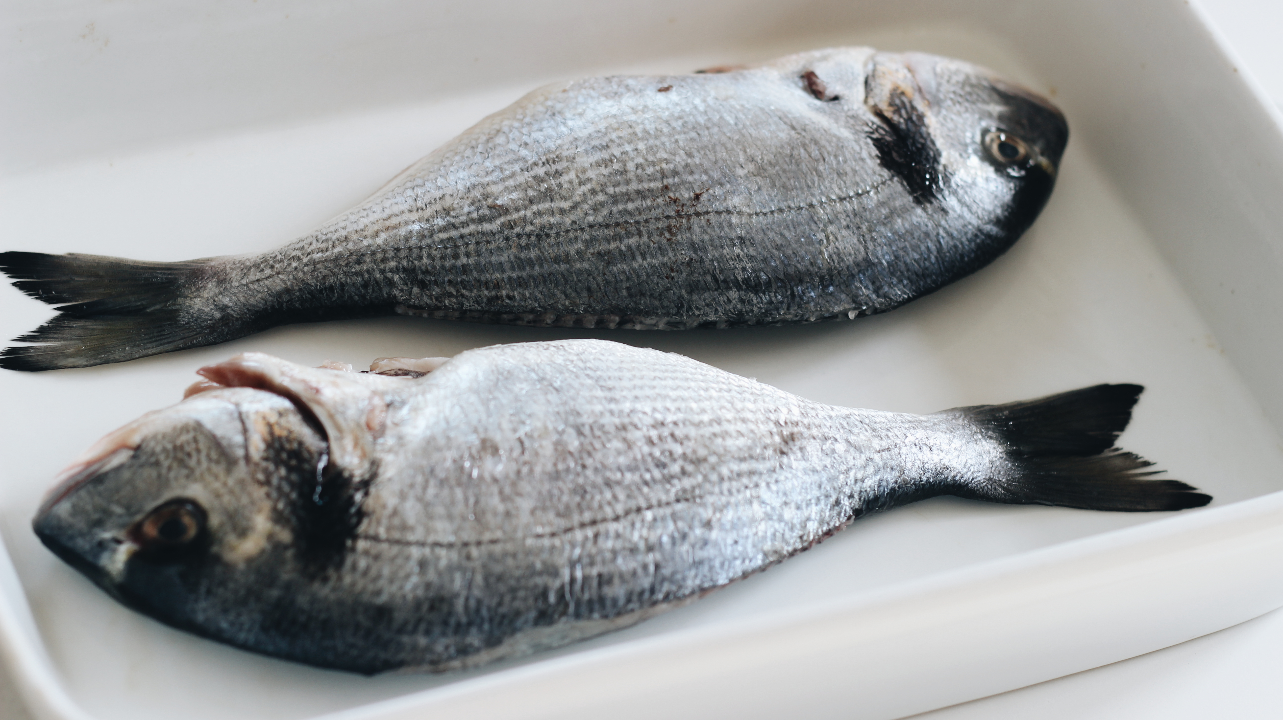 2018-04-20 06.53.28 1.jpg